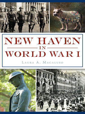 cover image of New Haven in World War I